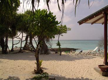 2004 Meedhupparu Malediven,_DSC03497 B_478